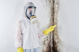 Mold Remediation